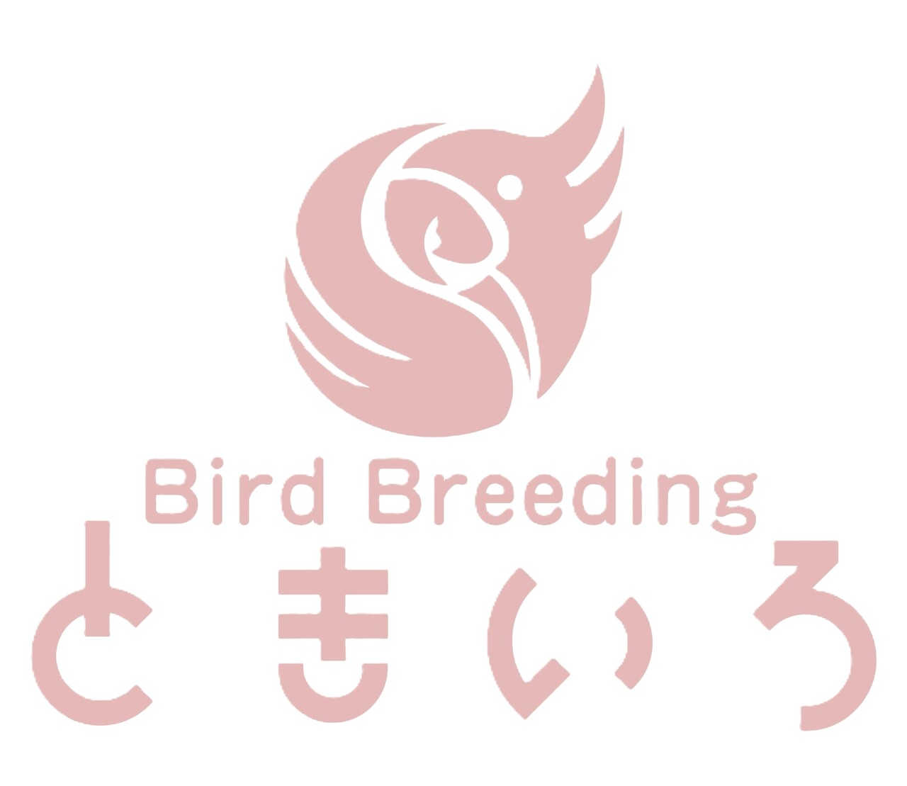 Bird Breeding ときいろ